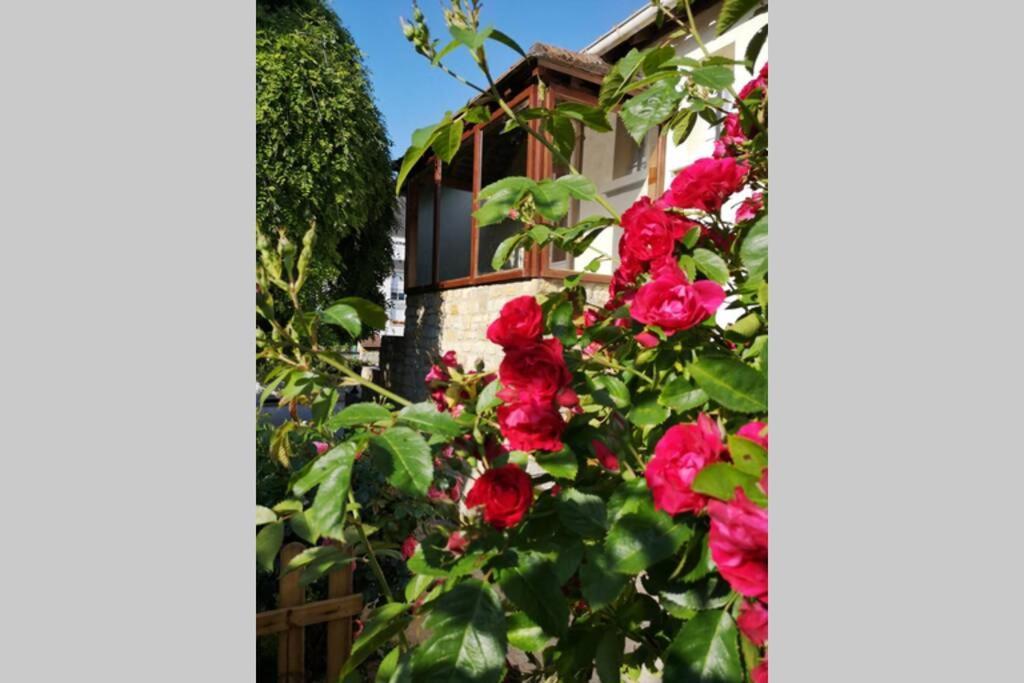 La Roseliere Maison Plain Pied Confortable Belle Decoration Jardin Magnifique 10 Mn A Pied Centre Proche Plages Du Debarquement *